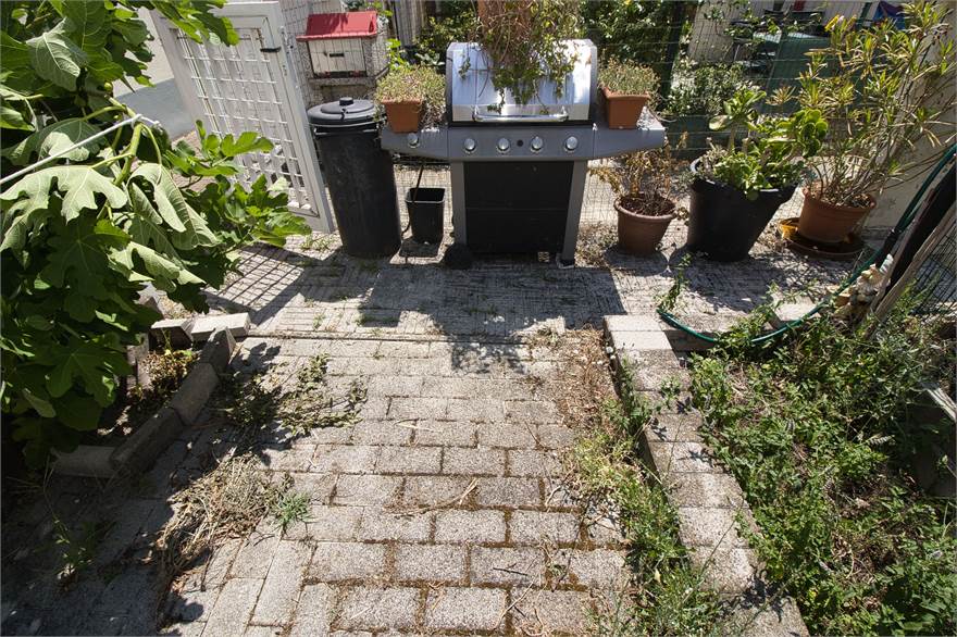 giardino
